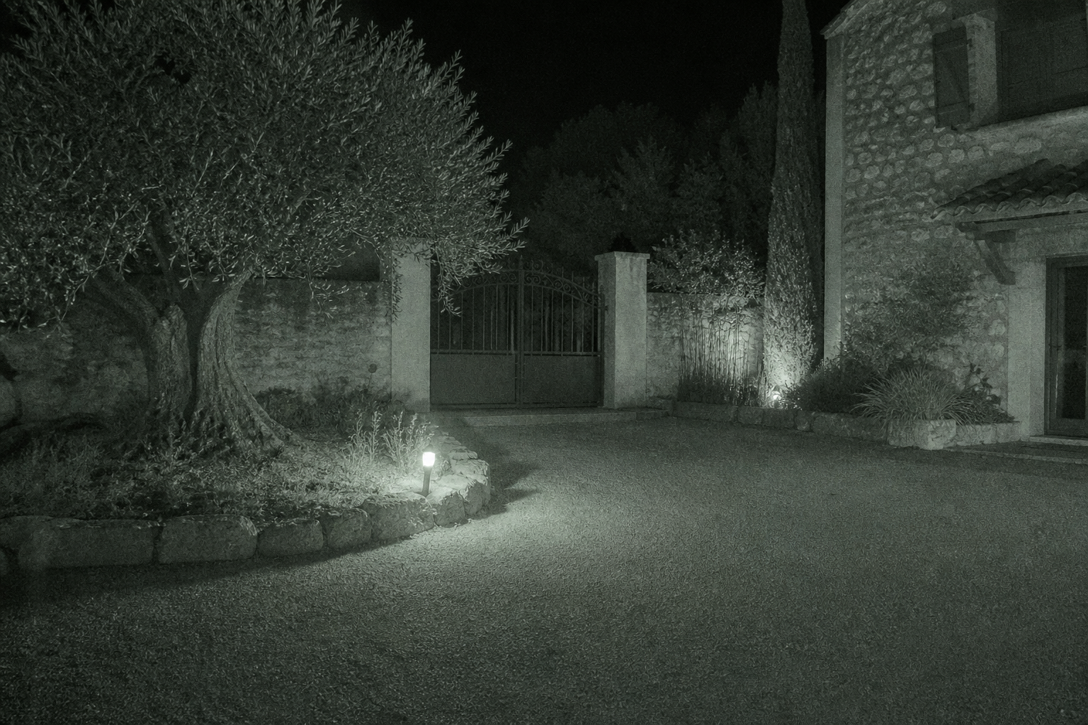 Image de caméra en vision nocturne d’une cour